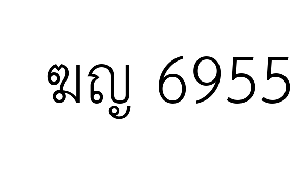ฆญ 6955